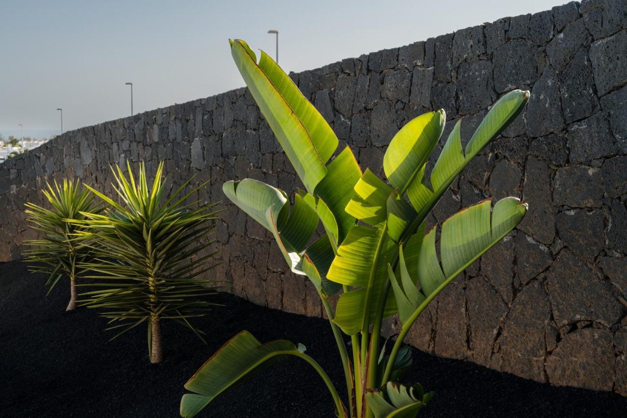 Villas Altos De Lanzarote Playa Blanca  Exterior foto